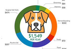 The Cost Involved in Keeping a Dog