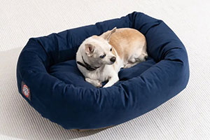 Dog's Bed and Bedding